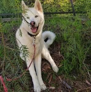 Meet your Posher, Diana